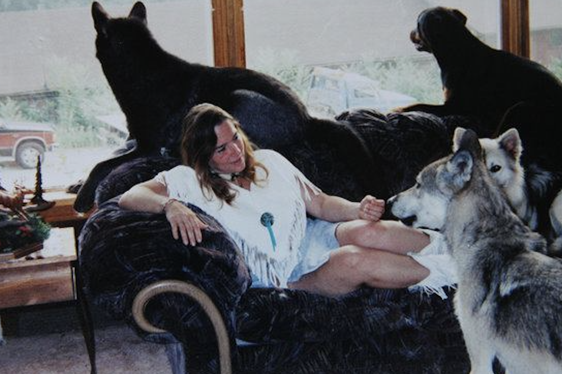 a girl surrounded by wolves in the living room of a house