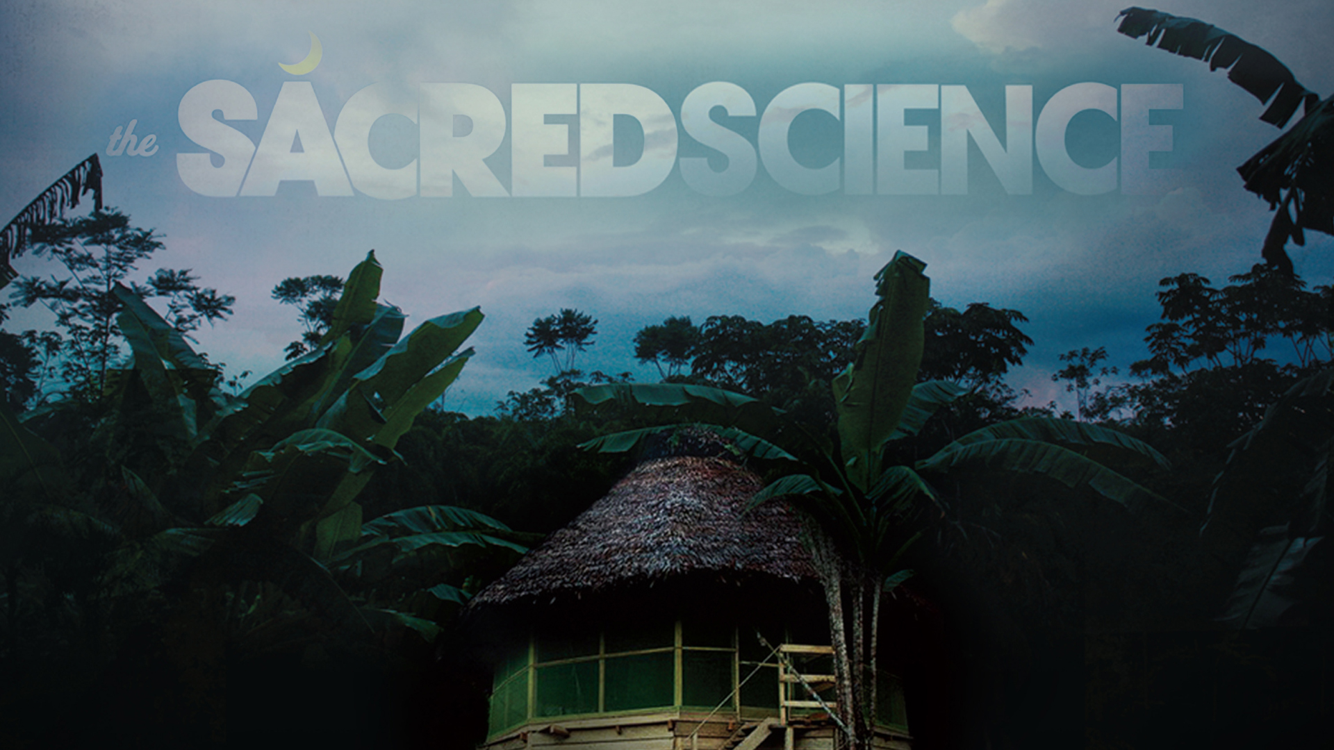 a cabin among vegetation