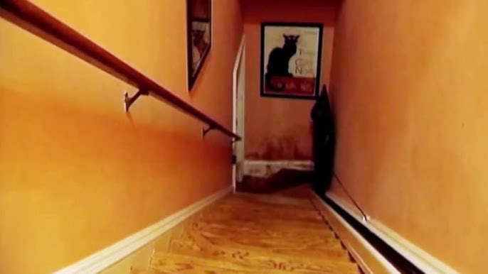stairs seen from above and the painting of a black cat