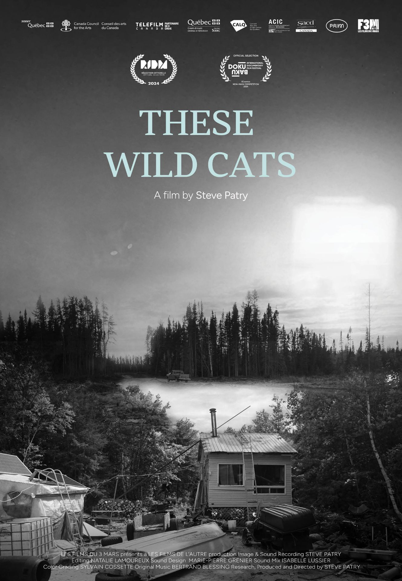 These Wild Cats documentary poster