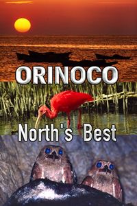 Orinoco: North's Best