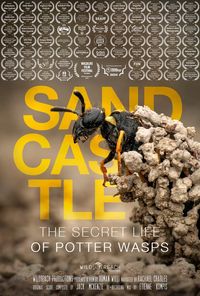 Sandcastle