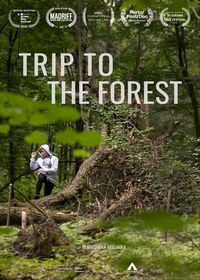 Trip to the forest