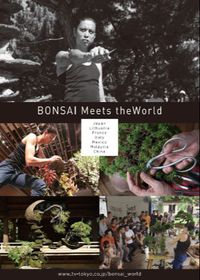 Bonsai Meets The world