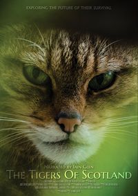 The Tigers of Scotland