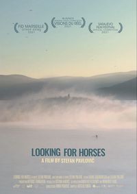 Looking For Horses