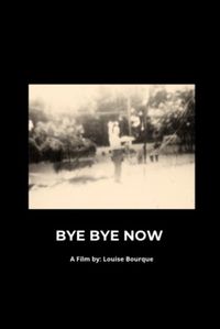 Bye Bye Now