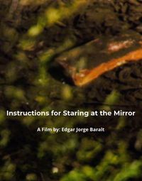 Instructions for Staring at the Mirror
