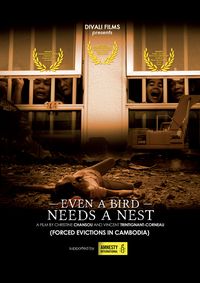 Even A Bird Needs A Nest