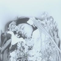 A Silent Day (Shizuka na ichinichi)