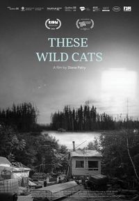 These Wild Cats