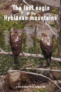 The Last Eagle Of The Hyblaean Mountains