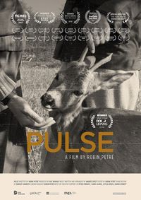 Pulse