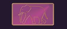 Purple Media