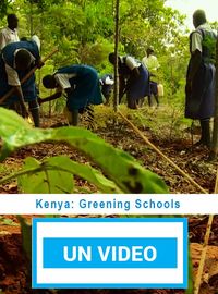 Kenya: Greening Schools