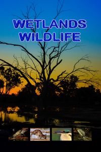 Wetlands Wildlife