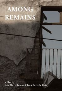 Among The Remains