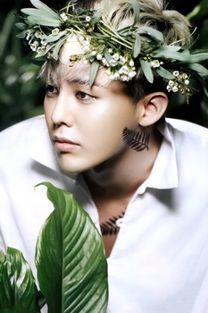 G-Dragon