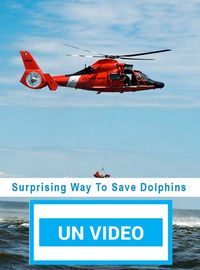 Surprising way to save Dolphins