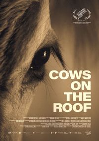 Cows on the Roof