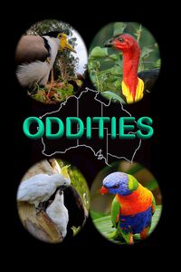 Oddities