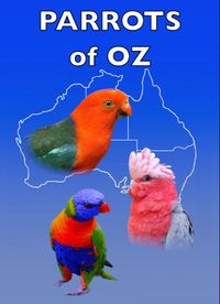 Parrots of Oz