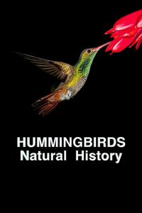 Hummingbirds Natural History