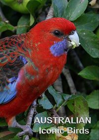 Australian Iconic Birds