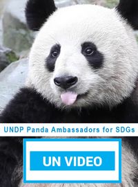 UNDP Panda Ambassadors for SDGs
