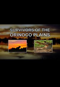 Survivors of the Orinoco Plains