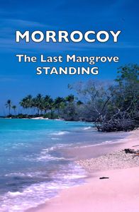 Morrocoy, The Last Mangrove Standing