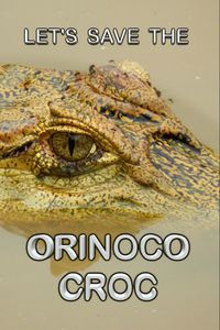 Let's save the Orinoco Croc