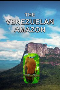 The Venezuelan Amazon