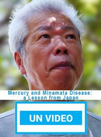 Mercury and Minamata Disease: a Lesson from Japan
