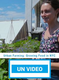 Urban Farming: Growing Food in NYC