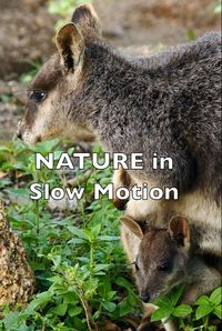 NATURE in Slow Motion