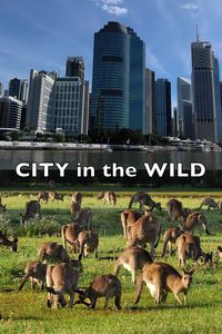 City In The Wild