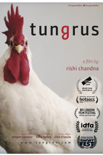 Tungrus