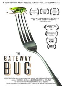 The Gateway Bug