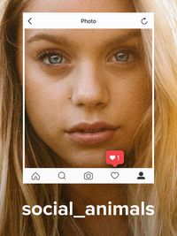 Social Animals