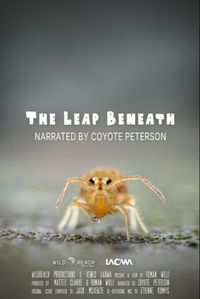 The Leap Beneath