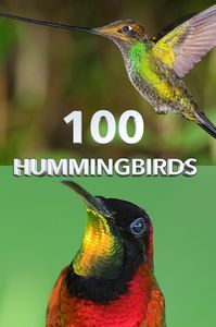 100 Hummingbirds