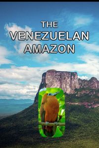 The Venezuelan Amazon