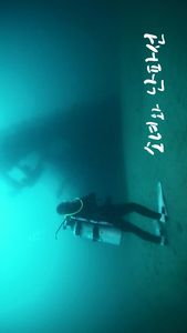 A Girl and a Shipwreck