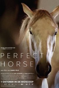 Perfect Horse