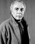 Julio Bressane